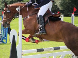 IMG_0771_web